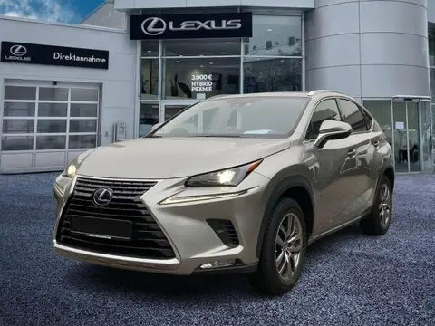 Used LEXUS NX Hybrid 2019 Ad 