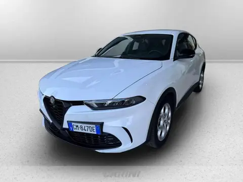 Used ALFA ROMEO TONALE Diesel 2023 Ad 