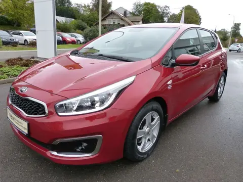 Used KIA CEED Petrol 2016 Ad 