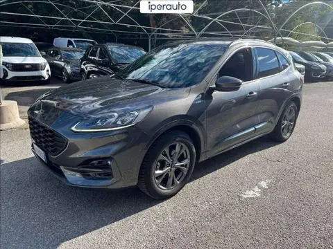 Annonce FORD KUGA Essence 2020 d'occasion 