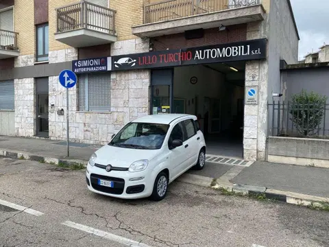 Used FIAT PANDA Hybrid 2021 Ad 