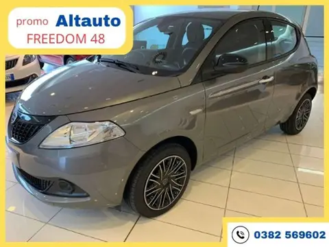 Used LANCIA YPSILON Hybrid 2024 Ad 