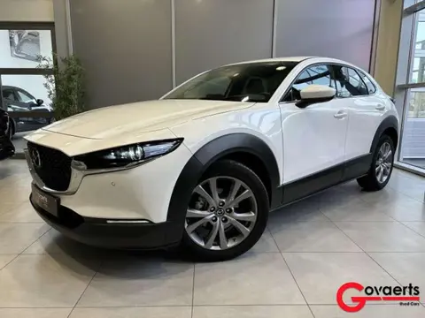 Annonce MAZDA CX-30 Essence 2021 d'occasion 