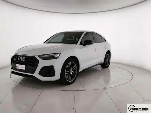 Used AUDI SQ5 Hybrid 2022 Ad 