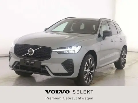 Used VOLVO XC60 Diesel 2023 Ad 