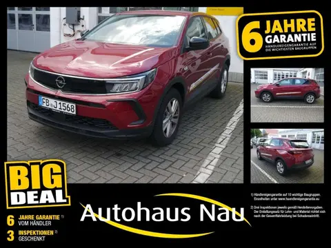 Used OPEL GRANDLAND Petrol 2023 Ad 