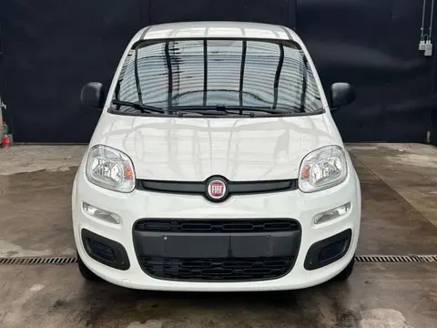 Annonce FIAT PANDA Essence 2019 d'occasion 