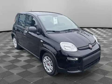 Used FIAT PANDA Hybrid 2024 Ad 