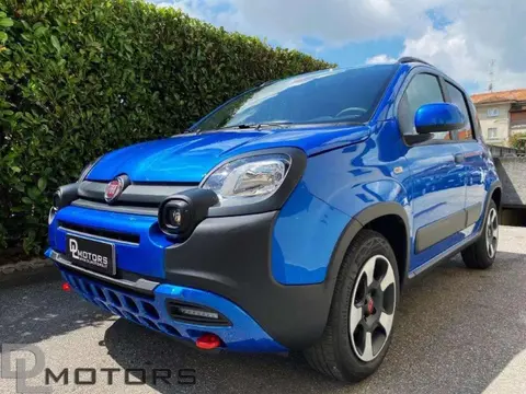 Annonce FIAT PANDA Hybride 2024 d'occasion 