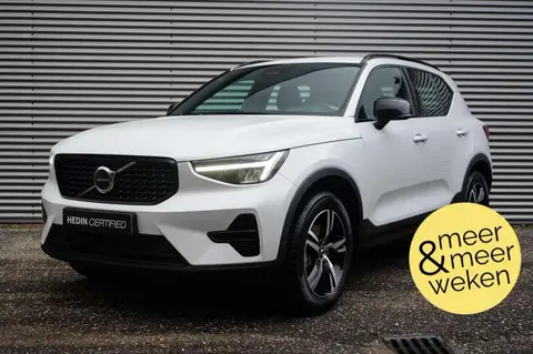 Used VOLVO XC40 Hybrid 2024 Ad 