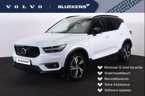 Annonce VOLVO XC40 Hybride 2021 d'occasion 