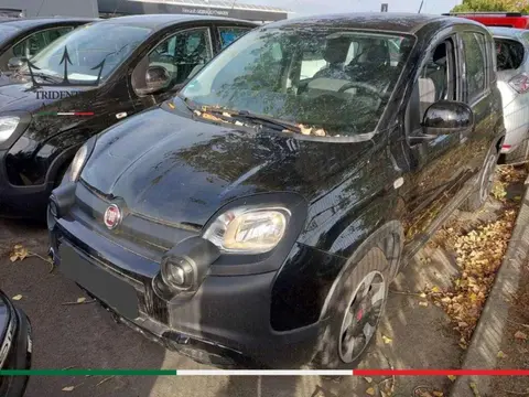 Used FIAT PANDA Hybrid 2023 Ad 