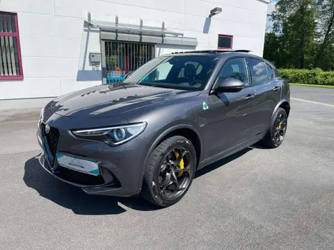 Used ALFA ROMEO STELVIO Petrol 2022 Ad 