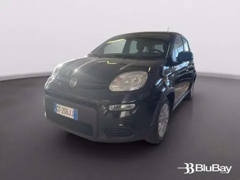 Annonce FIAT PANDA Essence 2024 d'occasion 