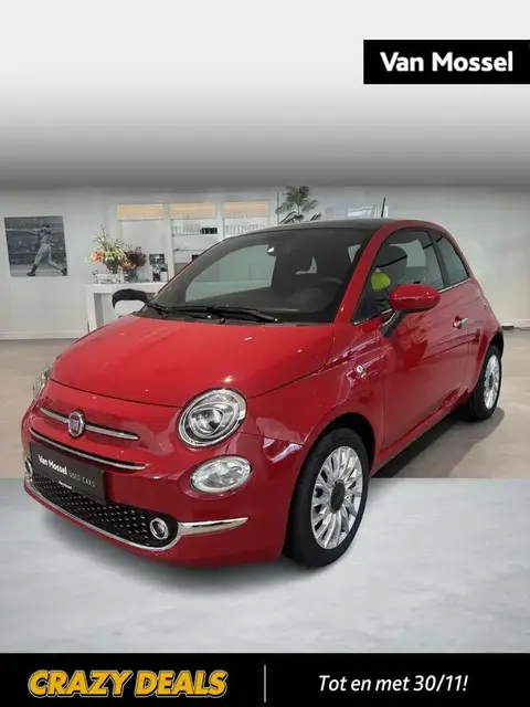 Used FIAT 500 Petrol 2023 Ad 