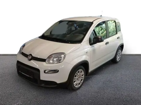 Used FIAT PANDA Petrol 2024 Ad 