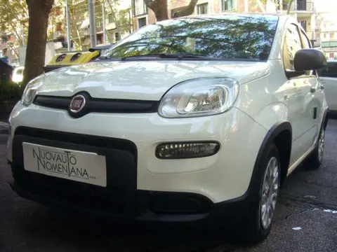 Used FIAT PANDA Hybrid 2024 Ad 