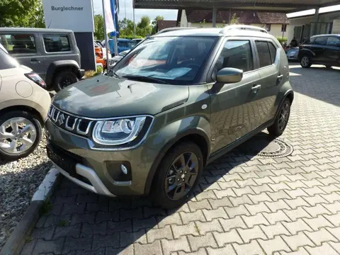 Used SUZUKI IGNIS Petrol 2024 Ad 