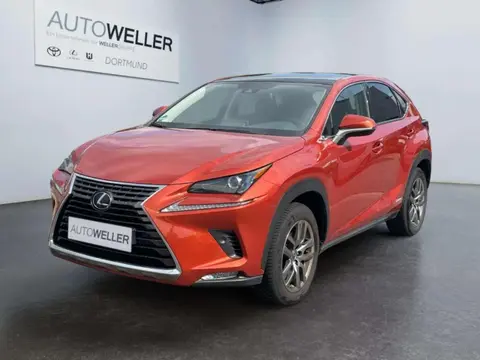 Used LEXUS NX Hybrid 2020 Ad 