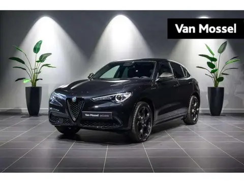 Used ALFA ROMEO STELVIO Petrol 2023 Ad 