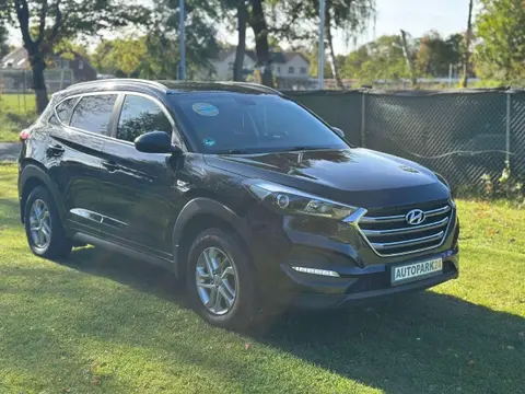 Used HYUNDAI TUCSON Petrol 2017 Ad 