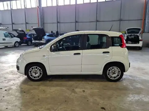 Annonce FIAT PANDA Hybride 2021 d'occasion 