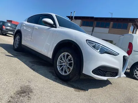 Used ALFA ROMEO STELVIO Diesel 2019 Ad 