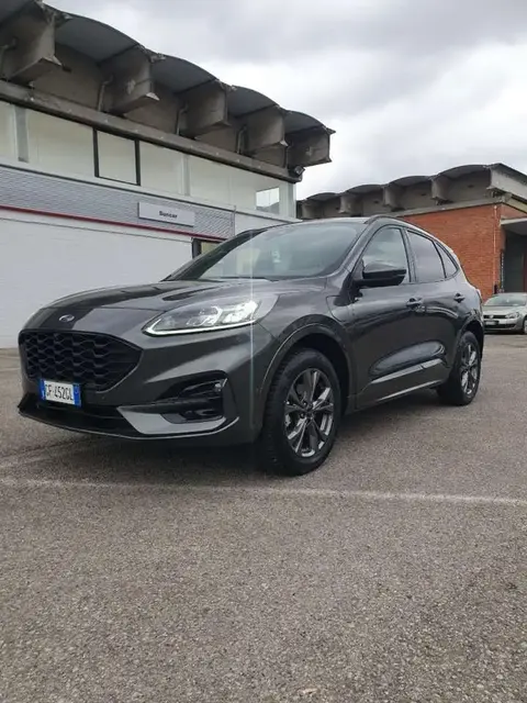 Annonce FORD KUGA Hybride 2021 d'occasion 