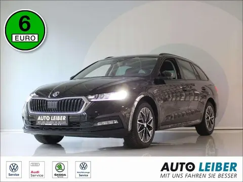 Used SKODA OCTAVIA Petrol 2024 Ad 