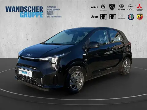 Annonce KIA PICANTO Essence 2024 d'occasion 