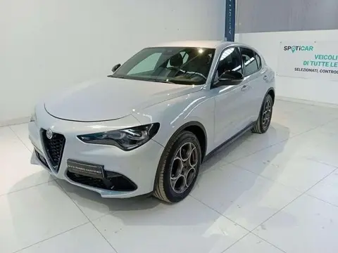 Used ALFA ROMEO STELVIO Diesel 2023 Ad 