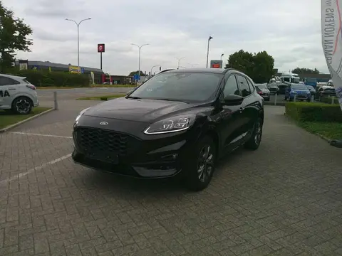 Used FORD KUGA Hybrid 2023 Ad 