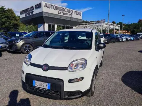 Used FIAT PANDA Hybrid 2022 Ad 