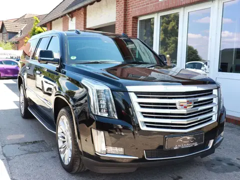 Used CADILLAC ESCALADE Petrol 2019 Ad 