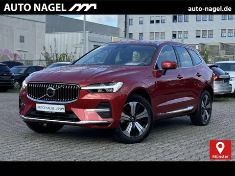 Annonce VOLVO XC60 Hybride 2022 d'occasion 