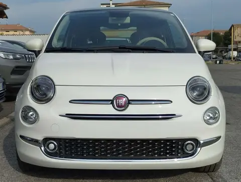 Used FIAT 500 Petrol 2023 Ad 