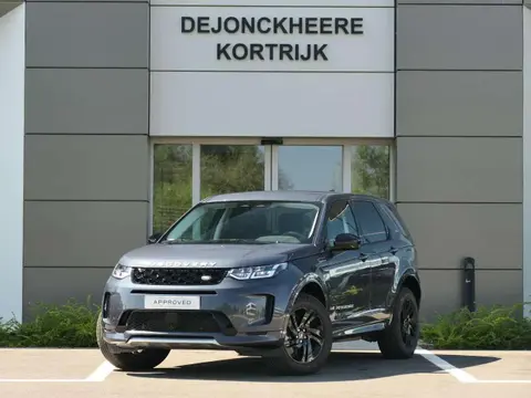 Used LAND ROVER DISCOVERY Hybrid 2024 Ad Belgium