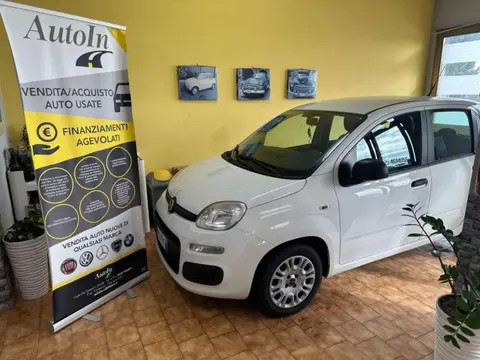 Used FIAT PANDA Diesel 2018 Ad 