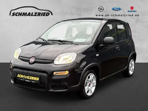 Annonce FIAT PANDA Hybride 2024 d'occasion 