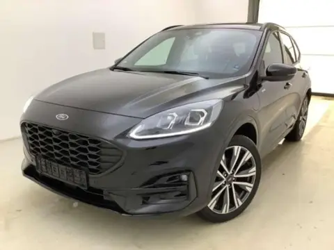 Used FORD KUGA Hybrid 2023 Ad 