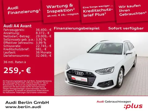 Used AUDI A4 Petrol 2023 Ad 