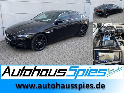 Used JAGUAR XE Petrol 2020 Ad 