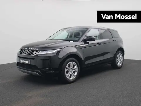 Used LAND ROVER RANGE ROVER EVOQUE Diesel 2020 Ad 