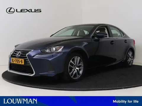 Used LEXUS IS Hybrid 2017 Ad 