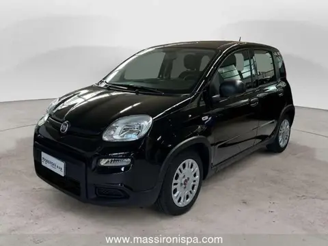 Annonce FIAT PANDA Hybride 2023 d'occasion 