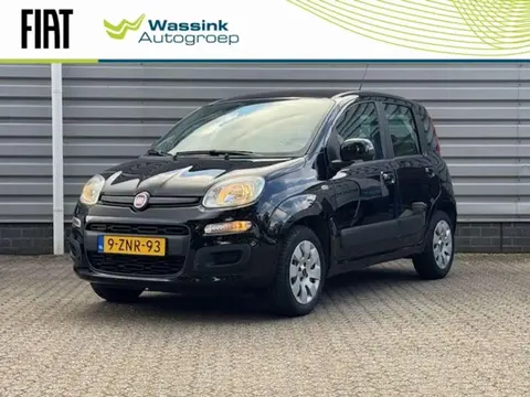 Used FIAT PANDA Petrol 2015 Ad 