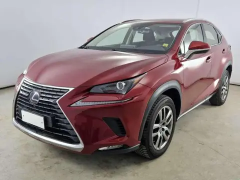 Used LEXUS NX Petrol 2020 Ad 