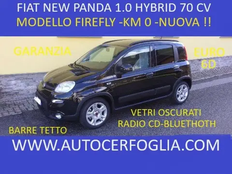 Annonce FIAT PANDA Hybride 2023 d'occasion 