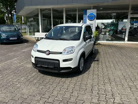 Used FIAT PANDA Petrol 2024 Ad 