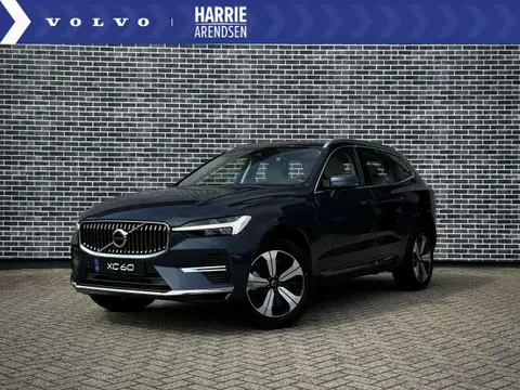 Annonce VOLVO XC60 Hybride 2024 d'occasion 